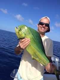Larger Mahi have been passing very close on their migration along with Sailfish